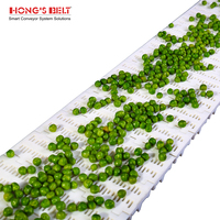 Hongsbelt 100b-hd Modulaire Plastic Transportband Modulaire Riem Voor Groente-En Fruitverwerkende Restaurants