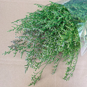 120g Fábrica al por mayor amante hierba San Valentín hierba conservada Limonium para el hogar/boda/decoración arreglo floral - Product Image 4