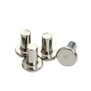Rivets plats en acier inoxydable 304 de haute qualité, vente en gros OEM, rivets personnalisés - Product Image 2