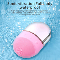 Brosse de nettoyage du visage en Silicone, Mini Vibration, appareil de Massage électrique sonique pour le visage