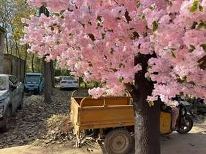 Arbre de fleurs de cerisier artificiel personnalisé, lumières LED Sakura d'intérieur, faux arbre décoratif, grande plante à fleurs artificielles, arbres à fleurs - Product Image 5