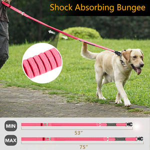 All'ingrosso guinzaglio per cani con fibbia in metallo ammortizzante collare per cani Pet <span class=keywords><strong>Bungee</strong></span> fune guinzaglio tattico di lusso collare per cani guinzaglio - Product Image 4
