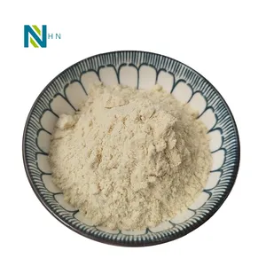 Bột Chiết Xuất Radix Notoginseng Chiết Xuất Từ Rễ Panax Notoginseng 35% HPLC Giá Tốt Nhất