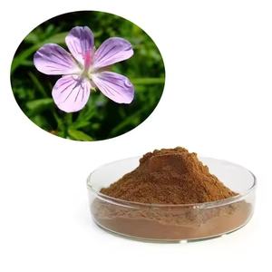 Venta caliente al por mayor precio <span class=keywords><strong>Pelargonium</strong></span> Sidoides extracto en polvo <span class=keywords><strong>Pelargonium</strong></span> Sidoides a bajo precio - Product Image 3