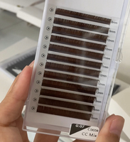 Plateau d'extensions de cils Volume russe en cachemire marron J B C CC D DD L M Curl 0.03 0.05 0.07mm Aucun cils collants"