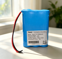 Batterie LiFePO4 45000mAh 32140 3.2V 1S4P rechargeable pour UPS, certifiée CE/RoHS, 3000 cycles