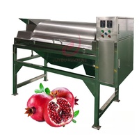 JUYOU Machine à éplucher automatique la grenade Machine à extraire la grenade Cactus Machine à désensemencer les fruits