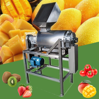 304 RVS Enkel/Dubbel Kanaals Abrikozen Tomaten Fruitpulp Extractor Mango Zaad Verwijderende Fruitpulpmachine
