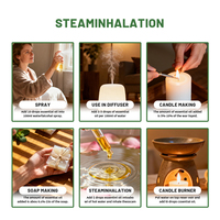 OEM 12 pièces/boîte 100% Huiles Essentielles Pures et Naturelles pour Diffuseur d'Arômes : Néroli, Lavande, Arbre à Thé, Rose, Citron, Orange Douce - Coffret de 100 Huiles Essentielles