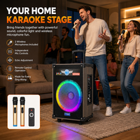 Speaker Karaoke Party Trolley 12-Inci 50W-100W HS-TS12Q3 dengan Dua Mikrofon Nirkabel dan Gagang Retraktil untuk V5.3 RGB LED