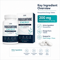 Comprimés de Paraxanthine pour une énergie propre quotidienne, une concentration accrue et une clarté mentale avec L-Théanine, Taurine et Vitamines B – Marque privée OEM ODM