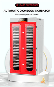 Incubadora de huevos HHD 2022, roja, automática, para huevos, 2000 - Product Image 4