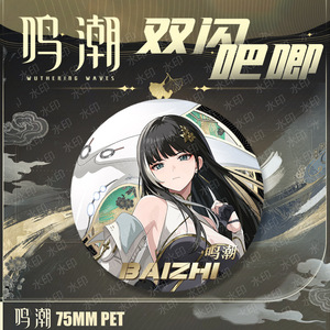 75mm kích thước lớn Anime hợp Kim Trâm Pin huy hiệu nút <span class=keywords><strong>wuthering</strong></span> sóng yangyang yuanwu taoqi Encore Cosplay Hợp Kim Trâm văn phòng phẩm - Product Image 4