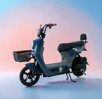 Vélo électrique universel 48V/60V 800W avec écran LCD, alarme antivol, vitesses, mise à niveau optionnelle du frein à disque arrière