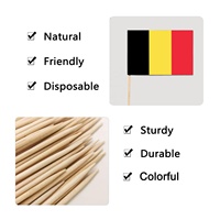 Drapeau belge Gâteau Signature Style Européen Occidental Cuisson Décoration Fête Dessert Personnalité Petit Drapeau