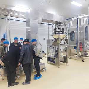 ZL-200PH Llenadora Volumétrica Automática de Alta Velocidad VFFS con Sellado de Aleta para Grado Alimenticio, para Pasta de Piñones, en Bolsas/Envases de Plástico Continuos - Product Image 4