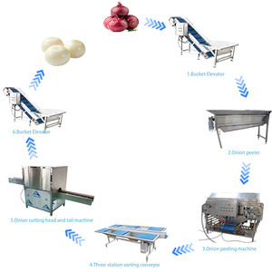 Les machines de traitement des oignons peuvent assurer un fonctionnement en flux continu, pouvant être coordonnées avec les lignes de machines à peler et de nettoyer les oignons. - Product Image 6