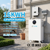Batería Solar OEM de 51.2V 100Ah 200Ah 300Ah, 15kWh 16kWh 20kWh LiFePO4, Apilable, Híbrida, para el Hogar, Más de 8000 Ciclos, Garantía de 10 Años