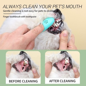KingHon 2024 Nouveaux produits de nettoyage buccal pour chiens et chats, ensemble dentifrice et brosse à dents, vente en gros d'usine - Product Image 2
