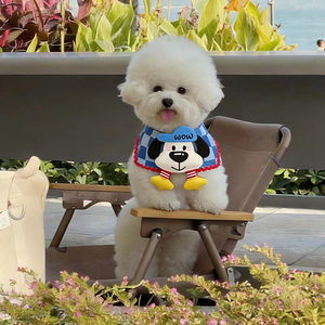 Baberos para mascotas, chales, baberos bonitos para perros, bufandas y accesorios para fotografías para perros pequeños y medianos, perros Teddy Bear y West - Product Image 4