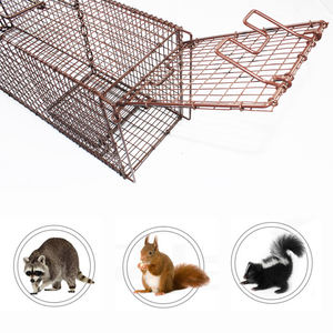 Meilleure vente petit piège à souris et écureuil en cage piège à martre pour animaux vivants à entrée supérieure piège à martre en fer écologique <span class=keywords><strong>antiparasitaire</strong></span> pour rats - Product Image 3