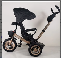 Tricycle Bébé 4-en-1 à Vendre : Voiture Porteur avec Homologation CE, Poussette Tricycle Économique à 3 Roues, Tricycles à Pousser