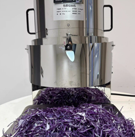 Automatische koolversnipperaar, elektrische versnipperaar voor kool, olijven en uien, Japanse versnipperaarmachine
