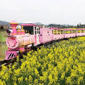 Train extérieur pour parc à thème et aire de jeux, avec couleur et dimensions personnalisées - Product Image 1