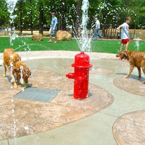 Jouet d'arrosage commercial en acier inoxydable pour hydrant d'eau, équipement interactif pour aire de jeux aquatique pour chiens, pour <span class=keywords><strong>parc</strong></span> aquatique pour animaux de compagnie - Product Image 3