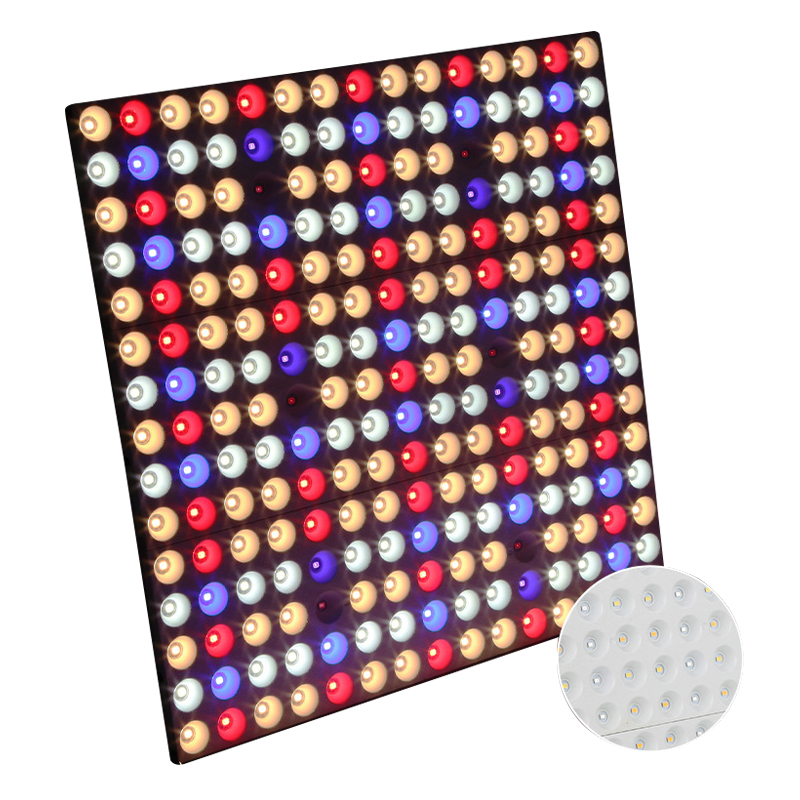 Portable 100W 200W 300W Quantum LED Grow Light Panels with DIP Switch for Indoor Plant Applications