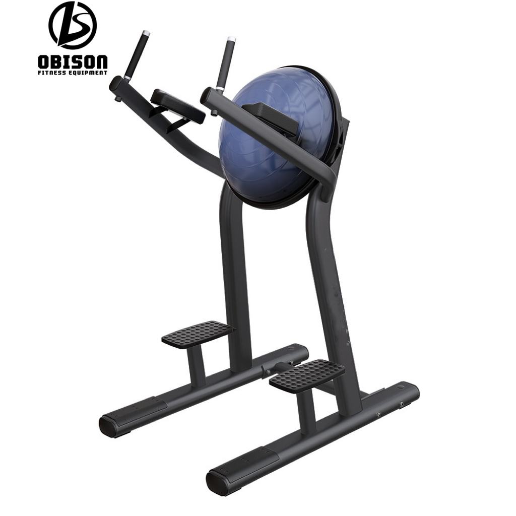 Hanging Leg Raises Roman Chair Gym Leg Lifts Hanging Gym Hanging