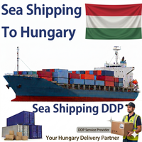 Agent d'expédition maritime rapide, service d'expédition porte-à-porte DDP vers l'entrepôt européen en Hongrie, consolidation de fret aérien, expédition de marchandises