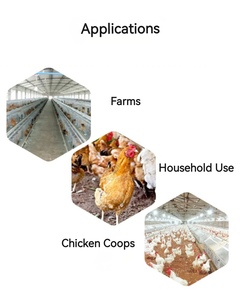 Yüksek verimli yumurta üretimi için ticari profesyonel sınıf yılında kanatlı ve tavuk kümesi için kümes hayvancılığı katmanlı kafes - Product Image 2