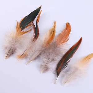 Plumas <span class=keywords><strong>de</strong></span> Gallo Teñidas <span class=keywords><strong>de</strong></span> Morado <span class=keywords><strong>de</strong></span> 4-6 cm, Venta al por Mayor <span class=keywords><strong>de</strong></span> Fábrica, Aptas para Prendas <span class=keywords><strong>de</strong></span> Vestir, Adornos Coloridos y Manualidades - Product Image 5