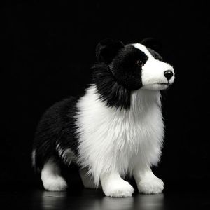 Peluche de Border <span class=keywords><strong>Collie</strong></span> Realista, Animal de Peluche Supersuave, <span class=keywords><strong>Cachorro</strong></span> para Niños y Amantes de Mascotas, Relleno de Algodón PP, Regalo de Cumpleaños Perfecto - Product Image 1