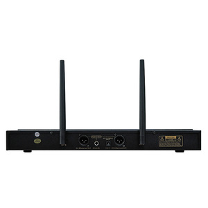 Tianlang Audio <b>Wireless</b> <b>Microphone</b> M-300 Dual Port Dynamic For KTV Bars Stage Outdoor Use - Product Image 2