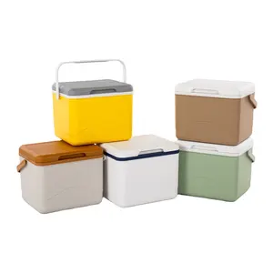 Icemaster In Stock Wholesale Small Mini PP Food-Grade Material Blood Transport Cooler Box New Designer Ice Box With Handle