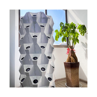 Système de culture hydroponique vertical pour ananas avec éclairage LED, structure en ABS, arrosage automatique complet pour usage agricole