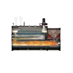 Generadores de vapor de biomasa horizontal totalmente automáticos LXY utilizados en la industria de procesamiento de alimentos