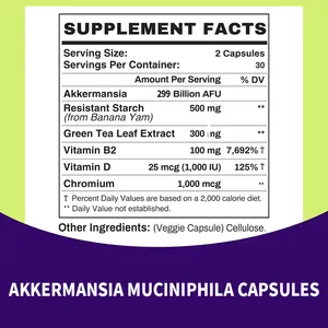 300 Billion AFU Natural Akkermansia Muciniphila Protein Supplement Capsules Live Akkermansia Probiotics Vitamins Both Men Women