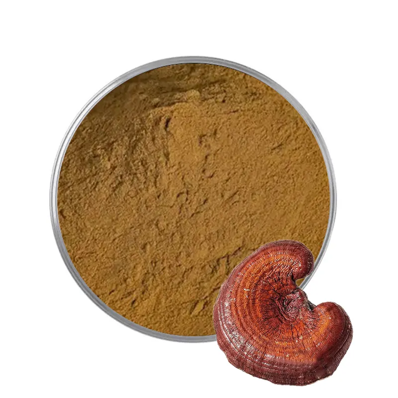 Groothandel Bulk Reishi Mushroom Extract Gratis Monsters 100% Pure Ganoderma Lucidum Extract Poeder 10:1