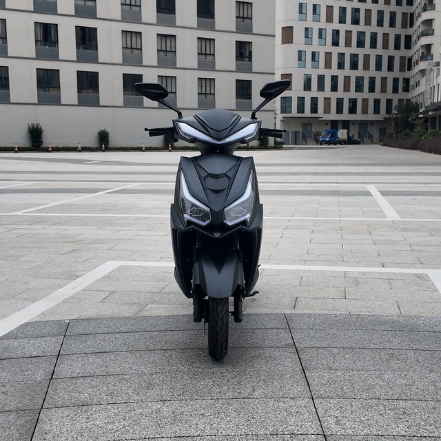 Good Quality Manufacture Hot Sale Electric Scooter Professional Top Speed 45 km/h Range 60-70 km Electric Motorcycles