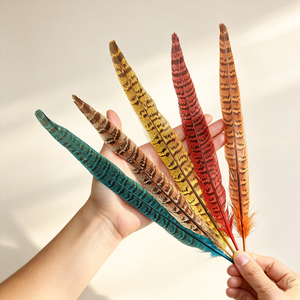 Plumes de faisan Ringnick colorées pour embellissement de coiffure de mariée, plumes de cérémonie à tenir à <span class=keywords><strong>la</strong></span> main, accessoires pour demoiselles d'honneur - Product Image 5