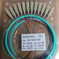 Precio de fábrica Paquete de fibra óptica 12 Fibra 12 piezas Fibra Pigtail LSZH 0,9mm SM 1,5 m FTTH G652D Fibra Optica Pigtails