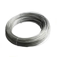 Alambre de Cromel NiCr10, Termopar Tipo K, Electrodo Positivo, Alambre de Aleación 90Ni10Cr para Medición Industrial de Alta Temperatura