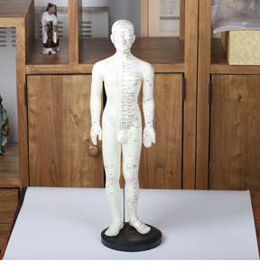 Modelo de acupuntura china para hombre, 50cm - Product Image 3