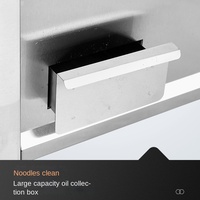 Plaque de cuisson électrique professionnelle multifonctionnelle en acier inoxydable avec plaque en fonte, machine à crêpes et gaufres, pour brochettes et crêpes