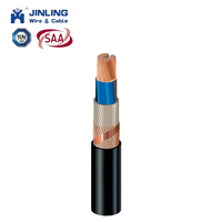 Cable de Cobre con Aislamiento de PVC de 0.6/1kv, Doble Cubierta, Conductor Concéntrico Redondo, 2, 3, 4 Núcleos