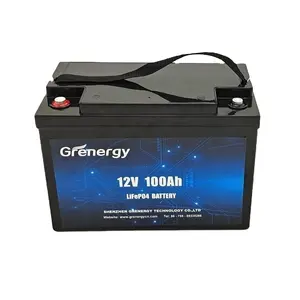 Hot waterproof IP65 deep cycle IEC62619 UL1973 Certification 12 volt 100ah 200ah rechargeable lithium batteries with smart app