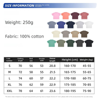Logo personnalisé 250G 100% coton T-shirt épaule surdimensionné lourd pour hommes femmes Streetwear unisexe solide lavable T-shirt blanc